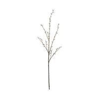 Pussy Willow Stem