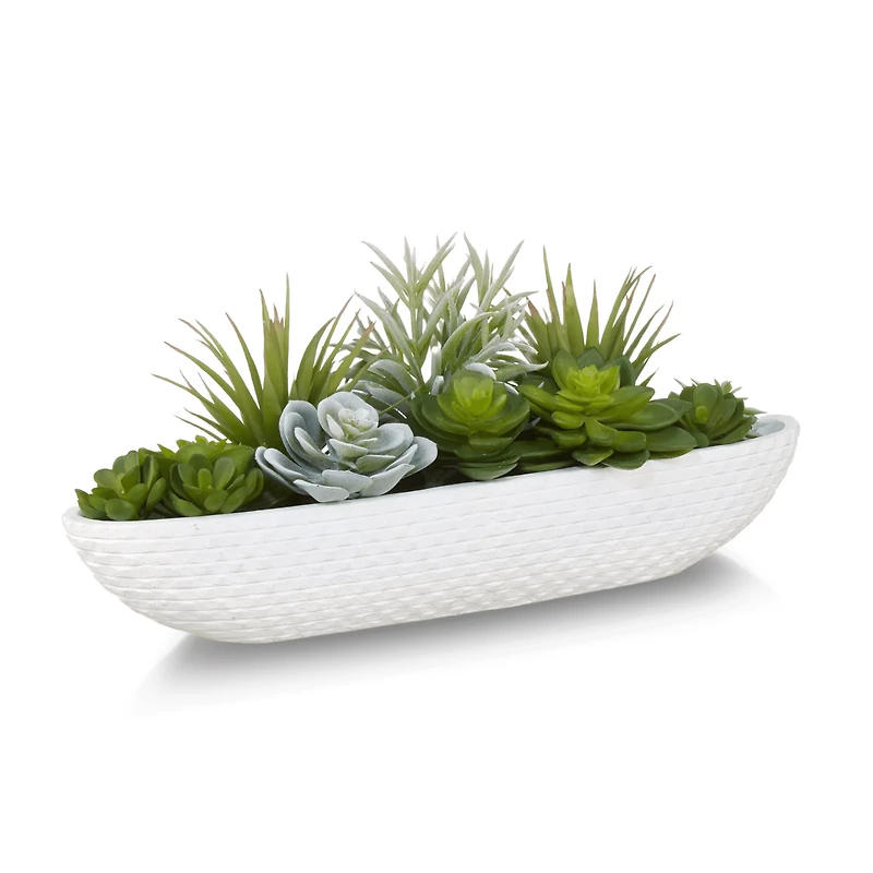 Succulents in Cement Tray