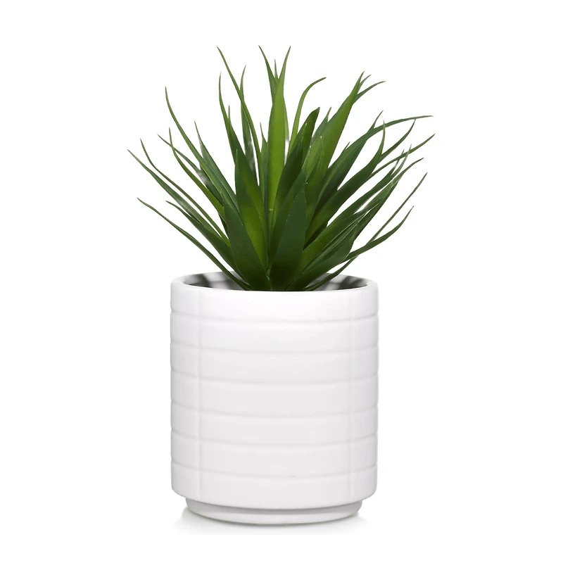 Ceramic Potted Tropical Plant