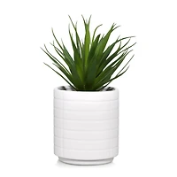 Ceramic Potted Tropical Plant