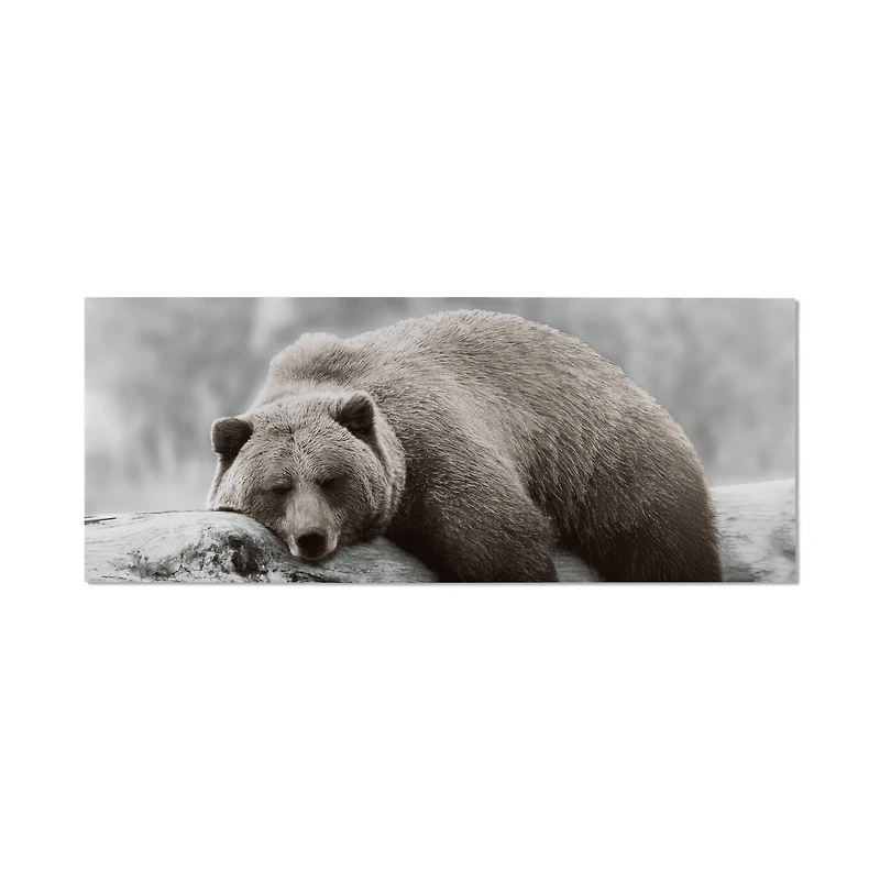 Sleepy Brown Bear Printed Canvas