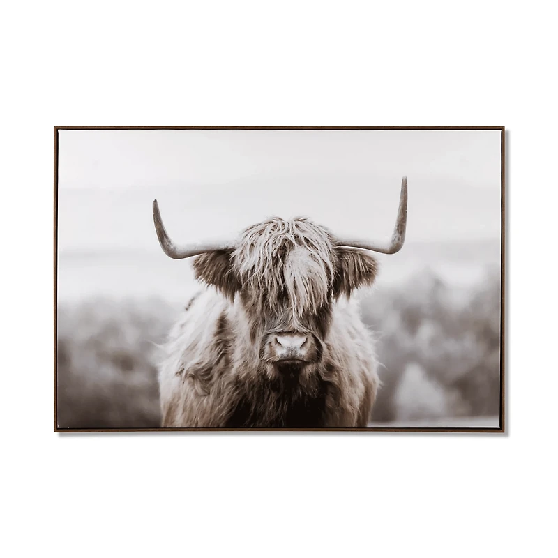 Furry Highland Cow Framed Art