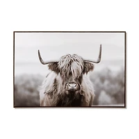 Furry Highland Cow Framed Art