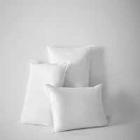 Basic White Pillow