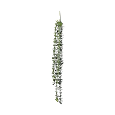 Hanging Eucalyptus