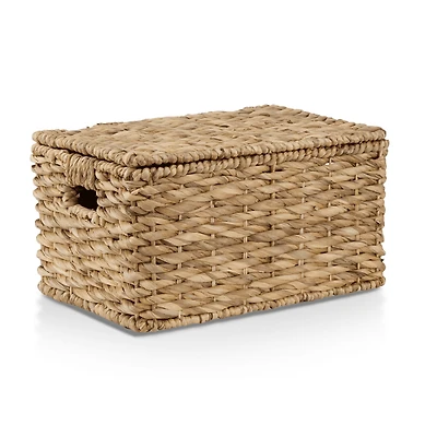 Water Hyacinth Storage Trunk