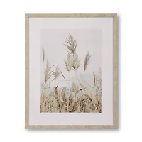 Pampas on Beach Framed Canvas
