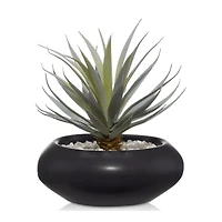 Ceramic Potted Greenery