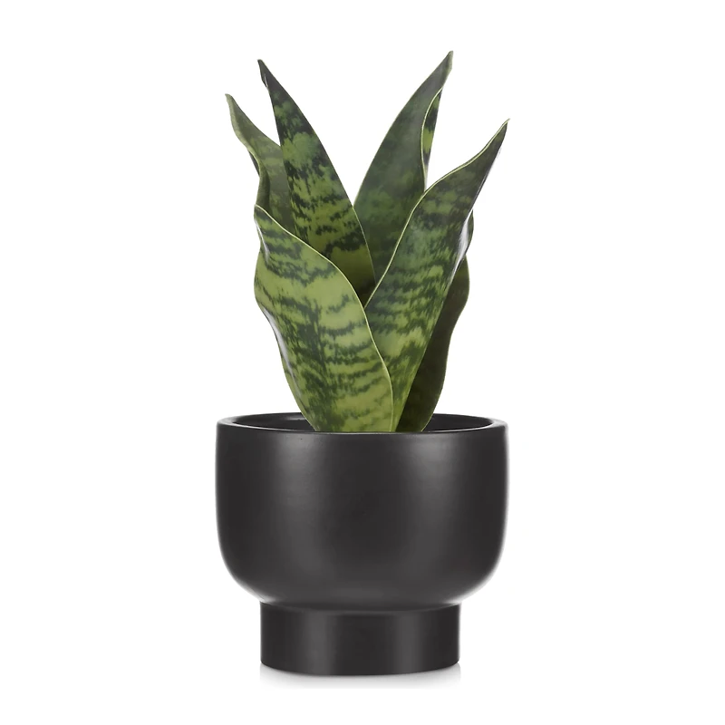 Artificial Plant in Black Matte Ceramic Pot