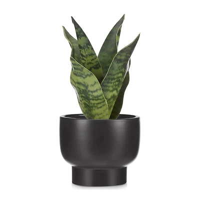 Artificial Plant in Black Matte Ceramic Pot