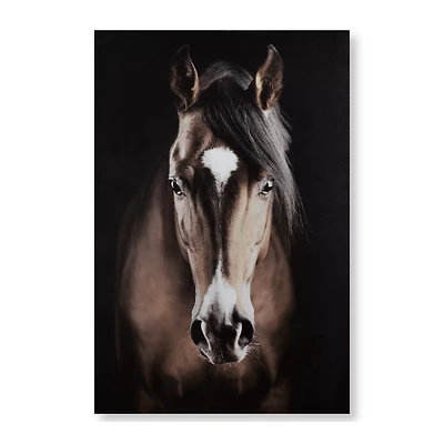 Brown Horse Printed Canvas