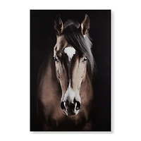Brown Horse Printed Canvas