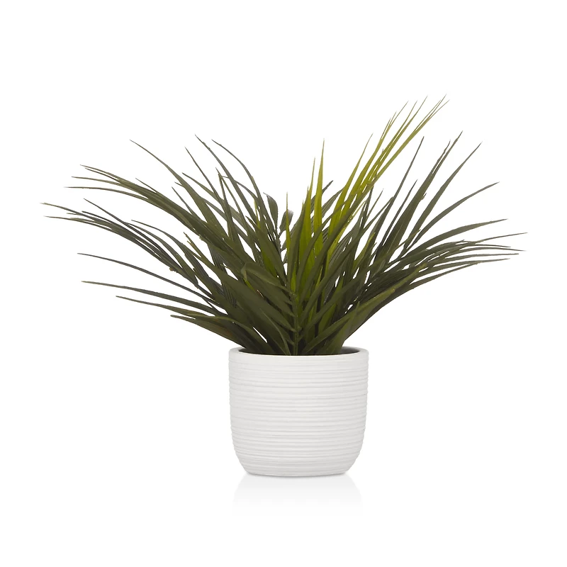 Textured Ceramic Potted Tropical Plant