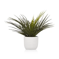 Textured Ceramic Potted Tropical Plant