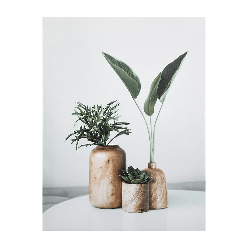 Succulents in Wood Vases Printed Canvas