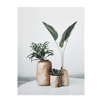 Succulents in Wood Vases Printed Canvas