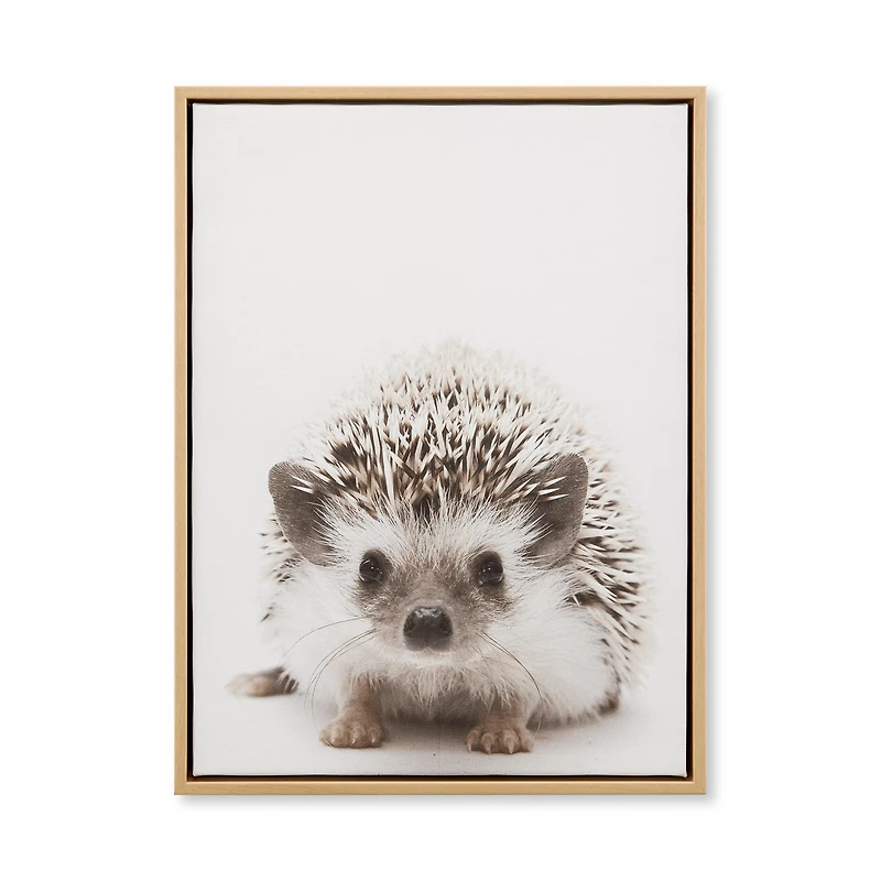 Hedgehog Framed Canvas