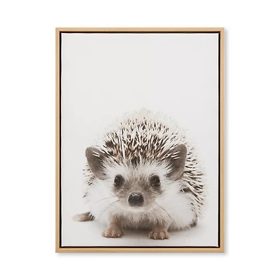 Hedgehog Framed Canvas