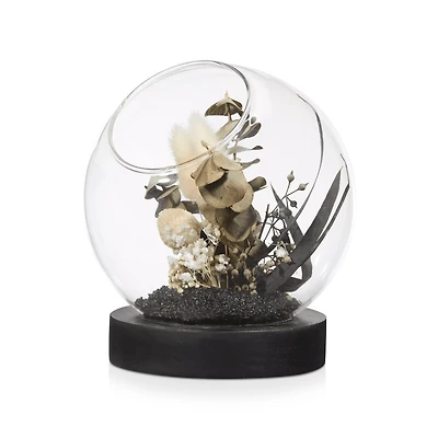 Decorative Stems in Glass Dome