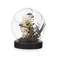 Decorative Stems in Glass Dome