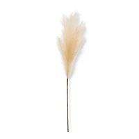 Pampas