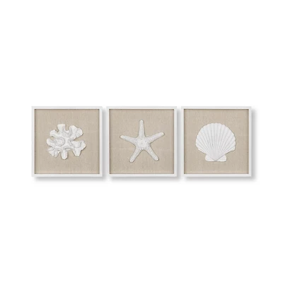 Set of 3 Seashells Framed Art