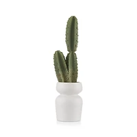 Artificial Cactus in Ceramic Pot