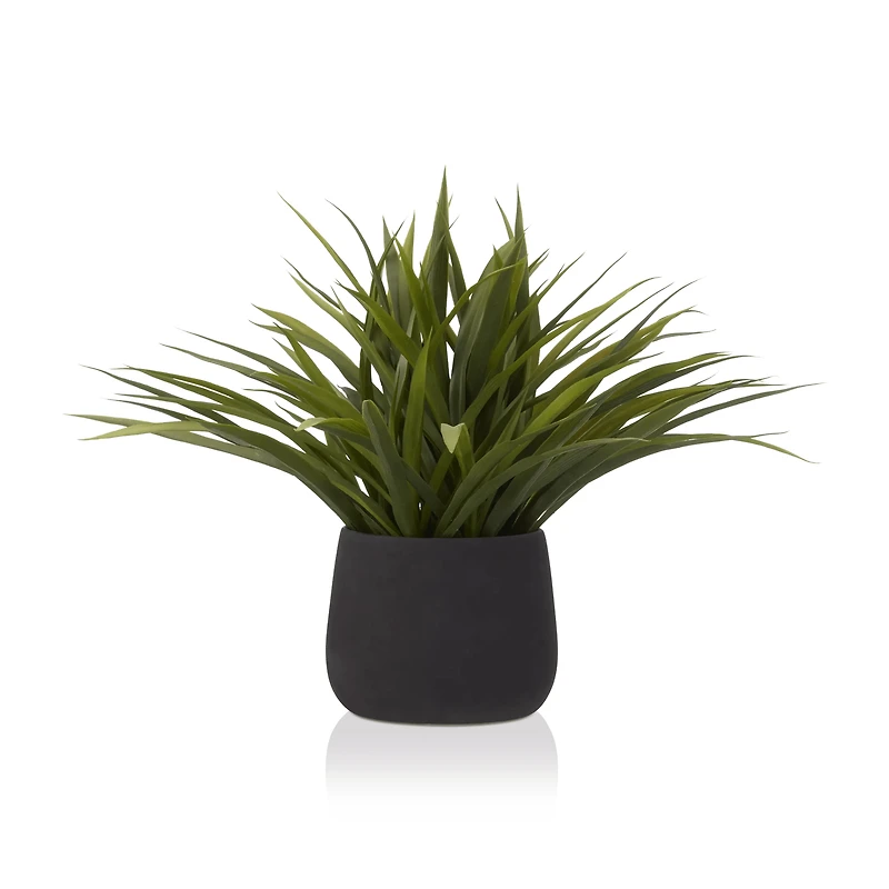 Grass in Ceramic Pot