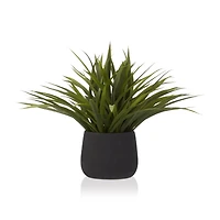 Grass in Ceramic Pot