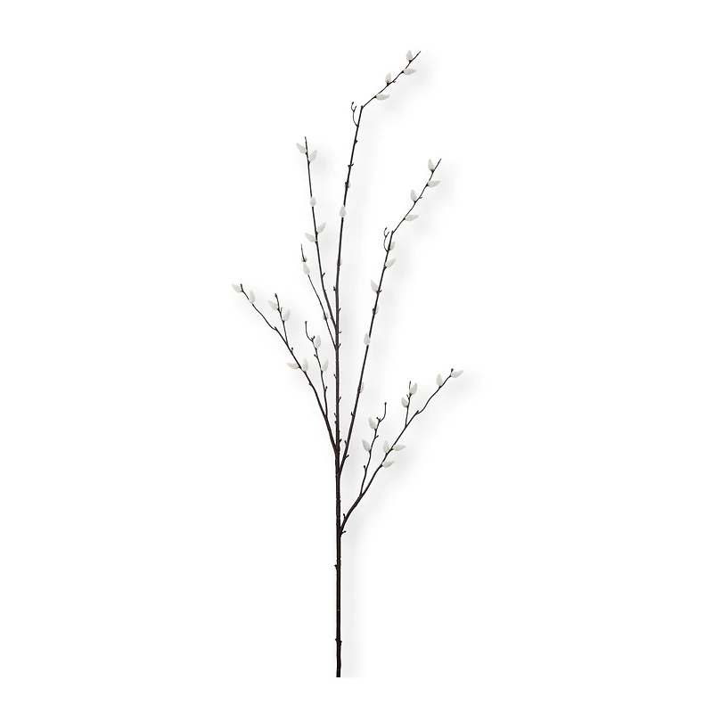 Pussy Willow Stem