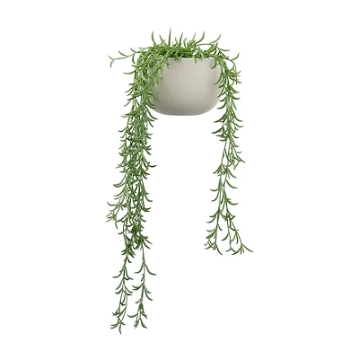 Hanging Vine in Ceramic Pot