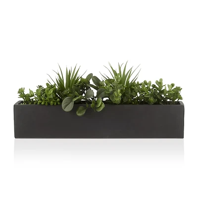 Succulents in Ceramic Pot