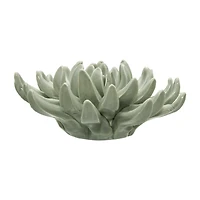 Ceramic Succulant
