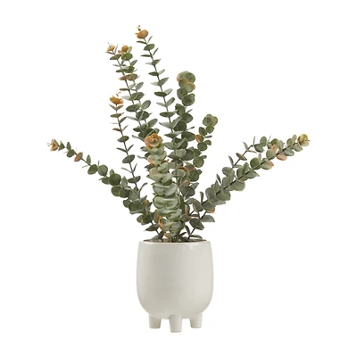 Artificial Eucalyptus in Ceramic Pot