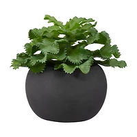 Artificial Agave Plant