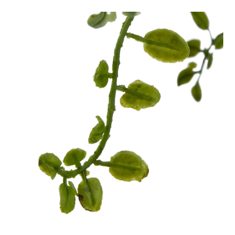 Artificial Fern