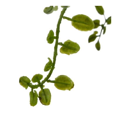 Artificial Fern