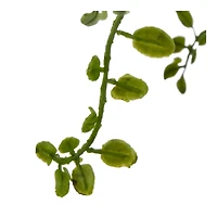 Artificial Fern