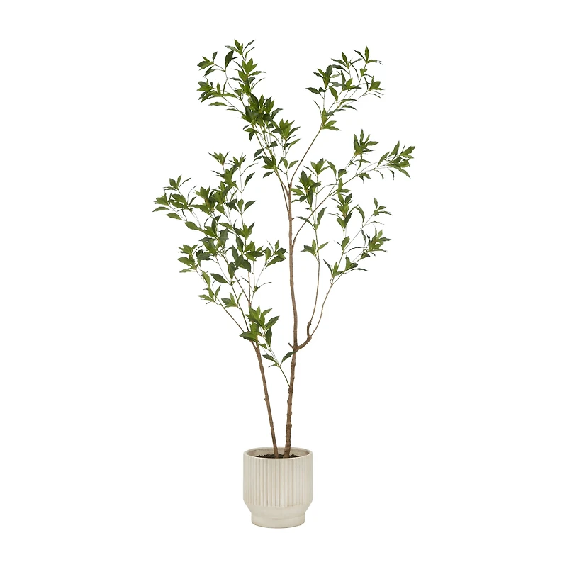 Japanese Pieris Tree