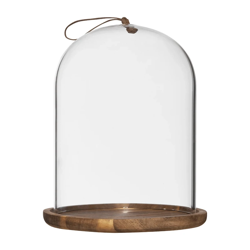 Glass Dome with Wood Base