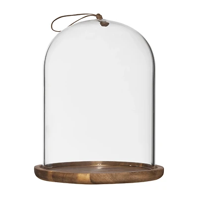 Glass Dome with Wood Base