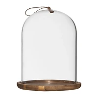 Glass Dome with Wood Base