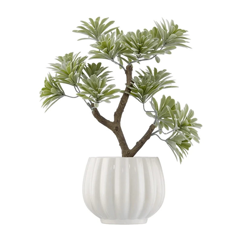 Lotus in Ceramic Pot