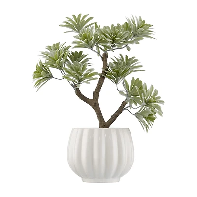 Lotus in Ceramic Pot