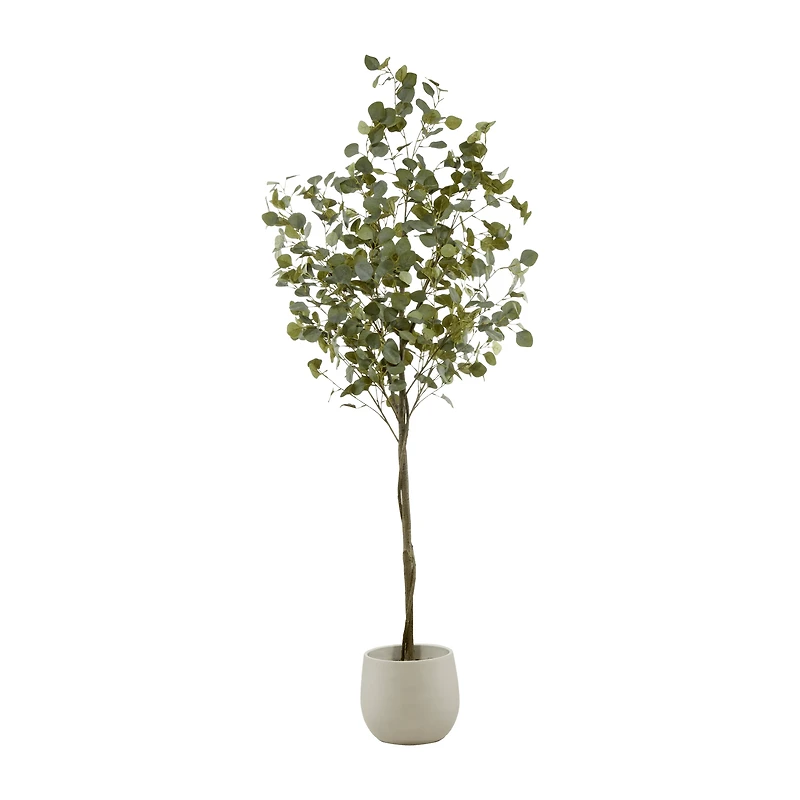 Eucalyptus Tree