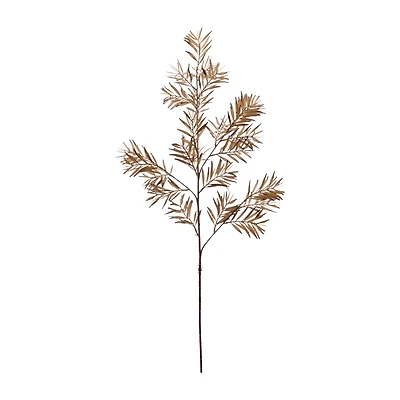 Brown Wild Leaves Stem