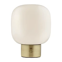 Glass and Metal Table Lamp