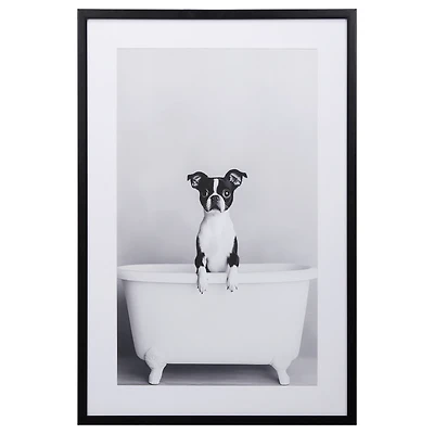 Dog in Bathtub Framed Canvas