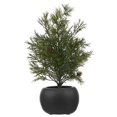 Tree with Pinecones in Black Pot
