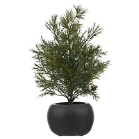Tree with Pinecones in Black Pot